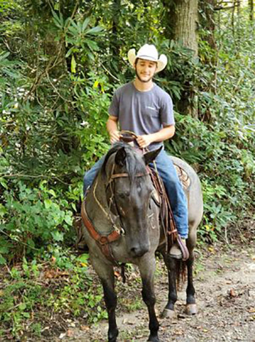 twisted creek quarter horses franklin nc broodmares